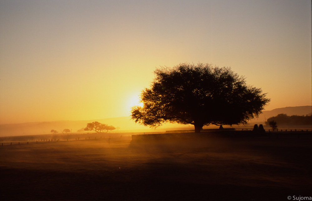 Naturfoto Initialbild