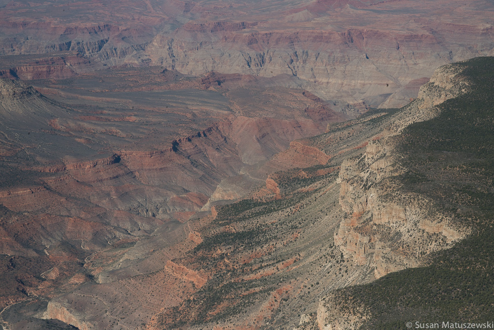 Naturfoto Initialbild