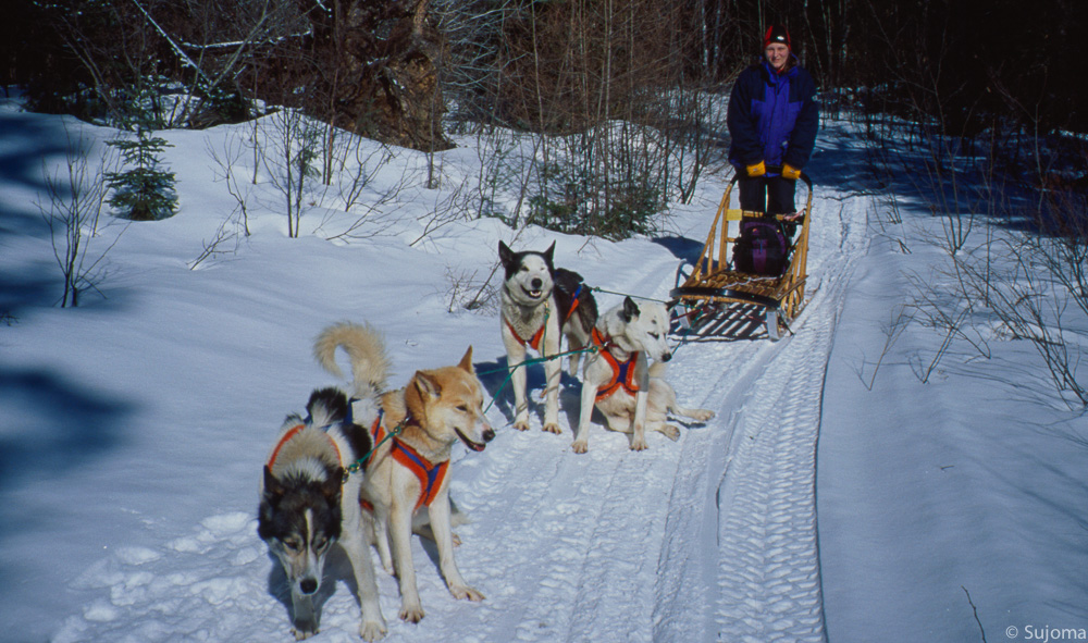 Huskyschlitten