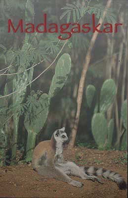 Naturfoto: Galerie mit Tier- und Landschaftsaufnahmen